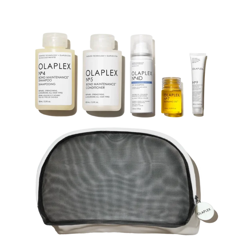 COMPLETE HEALTHY HAIR TRAVEL SET (1)